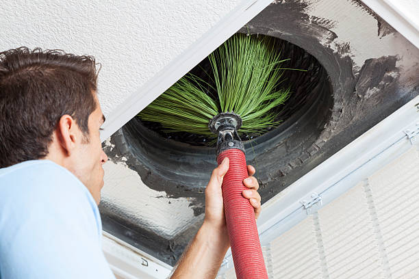 Best Ductwork Cleaning Services  in Pea Ridge, WV